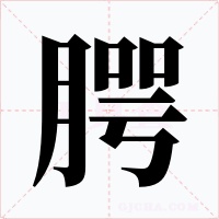 腭