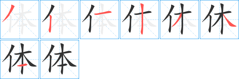 體