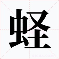 蟶
