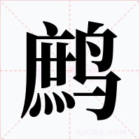 鷓