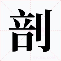 剖