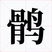 鶻