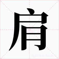 肩