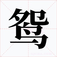 鴛