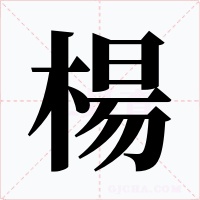 楊