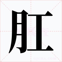 肛
