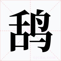 鴰