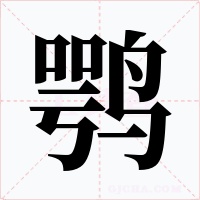 鶚