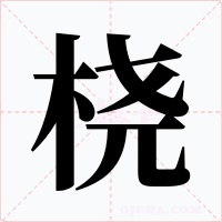 橈