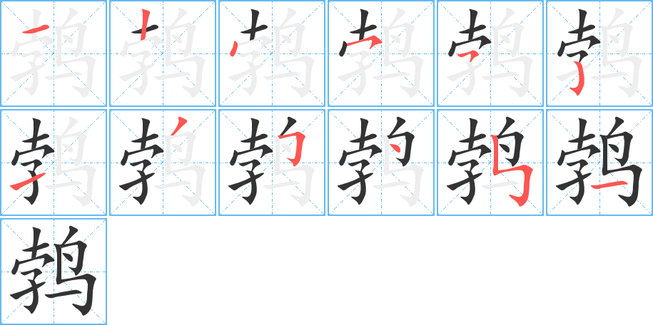 鵓