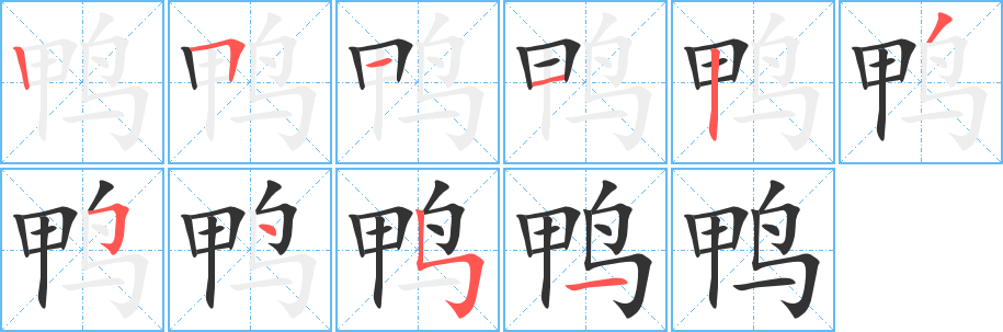 鴨