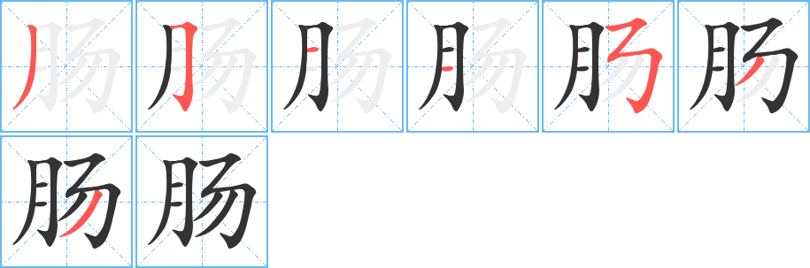 腸