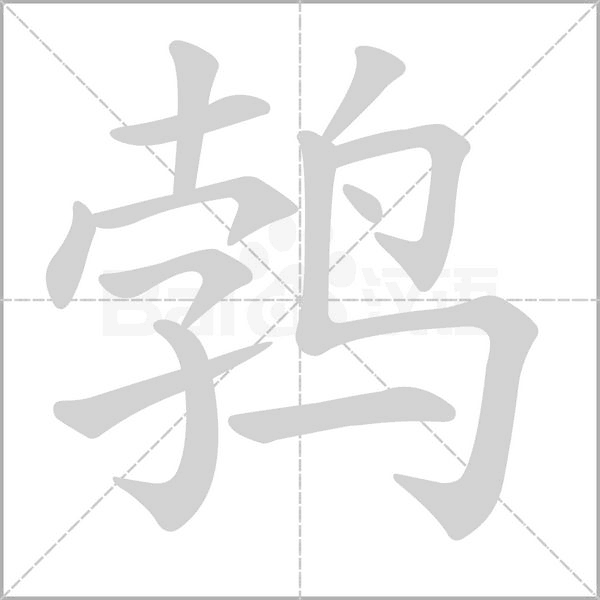 鵓