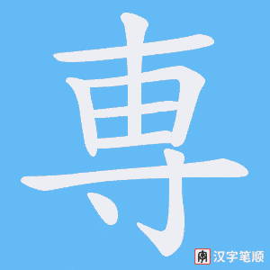 専