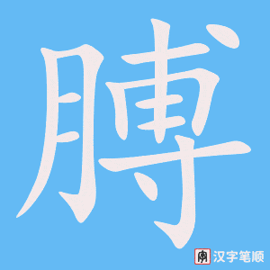 膊
