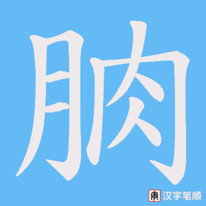 朒