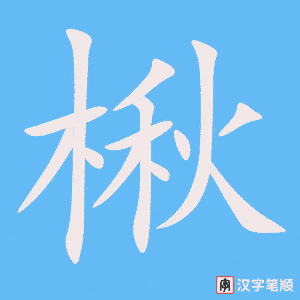 楸
