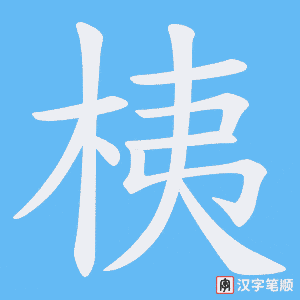桋