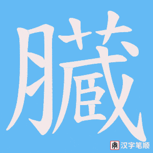 臓