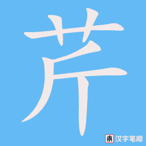 芹